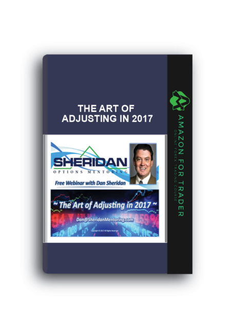 THE ART OF ADJUSTING IN 2017