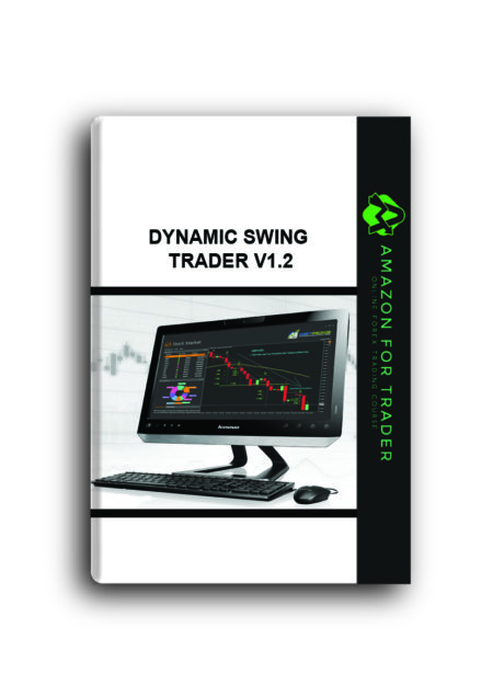 DYNAMIC SWING TRADER V1.2