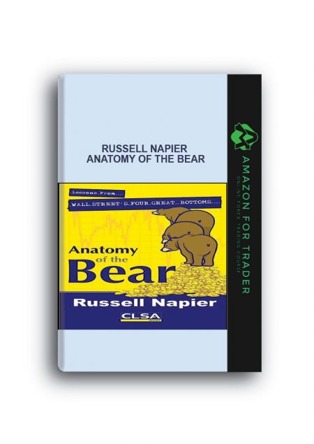 Russell Napier - Anatomy of the Bear