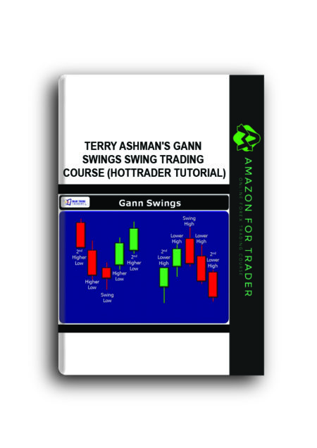 Terry Ashman's Gann Swings Swing Trading Course (HotTrader Tutorial)