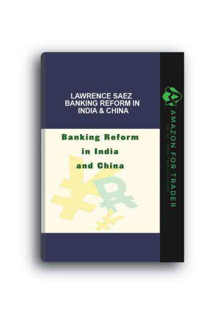 Lawrence Saez - Banking Reform in India & China