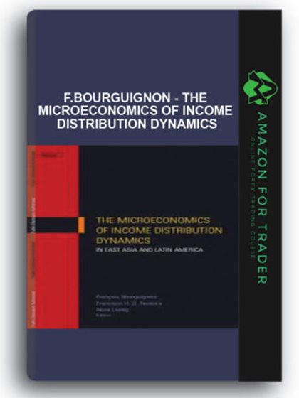 F.Bourguignon - The Microeconomics of Income Distribution Dynamics