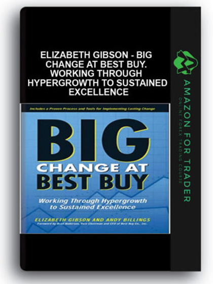 Elizabeth Gibson - Big Change at Best Buy. Working Through Hypergrowth to Sustained Excellence