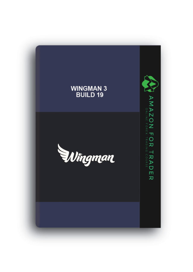 Wingman 3 Build 19