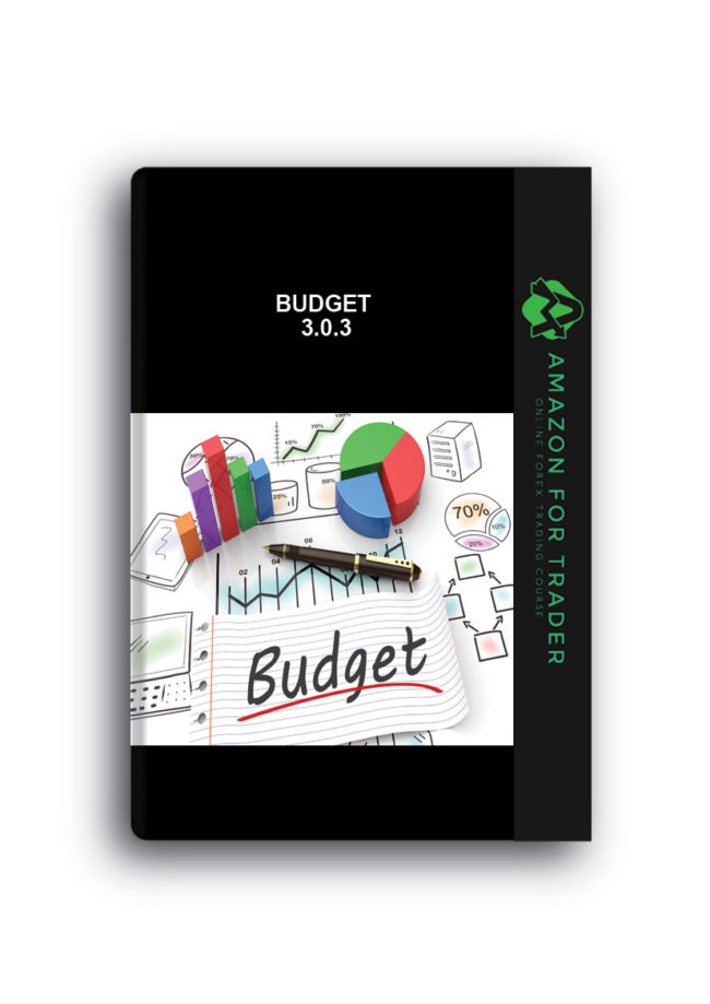 Budget 3.0.3