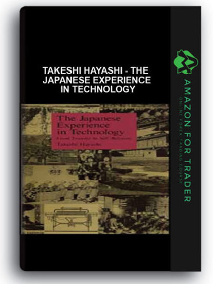 Takeshi Hayashi - The Japanese Experience in Technology