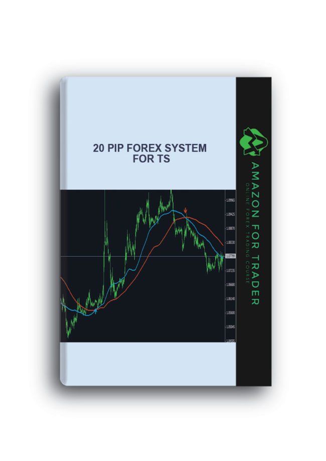 20 Pip Forex System for TS