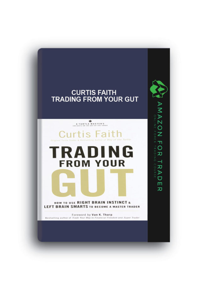 Curtis Faith - Trading From Your Gut