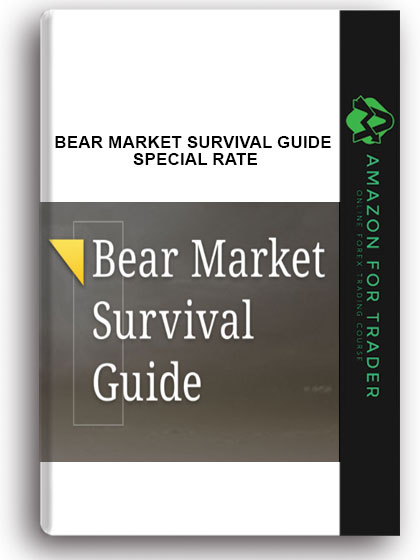 Bear Market Survival Guide - Special Rate