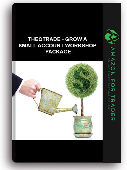 Theotrade - Grow a Small Account Workshop Package