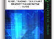 Feibel Trading - Tick Chart Mastery The Definitive Guide
