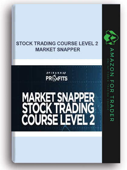 Stock Trading Course Level 2 – Market Snapper