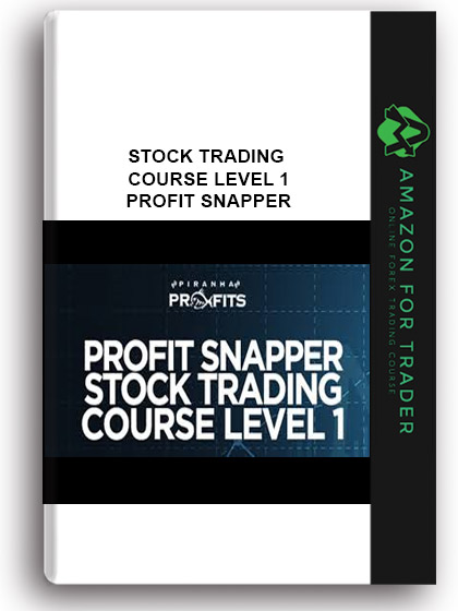 Stock Trading Course Level 1 – Profit Snapper