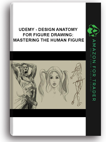 Udemy - DESIGN Anatomy For Figure Drawing: Mastering The Human Figure