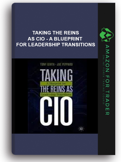 Taking The Reins As Cio - A Blueprint For Leadership Transitions
