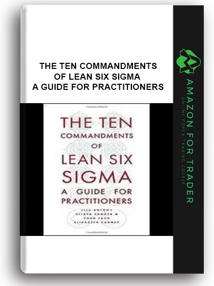 The Ten Commandments Of Lean Six Sigma - A Guide For Practitioners