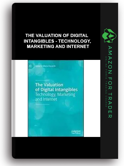 The Valuation Of Digital Intangibles - Technology, Marketing And Internet