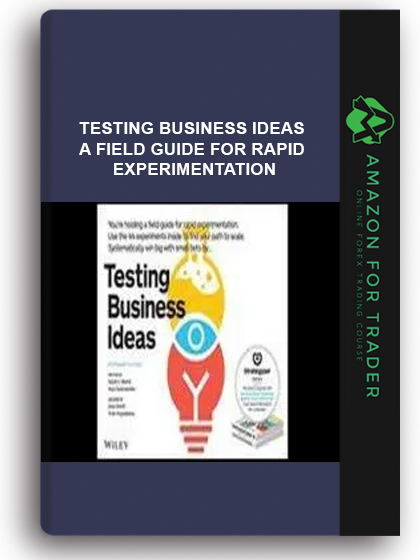 Testing Business Ideas - A Field Guide for Rapid Experimentation