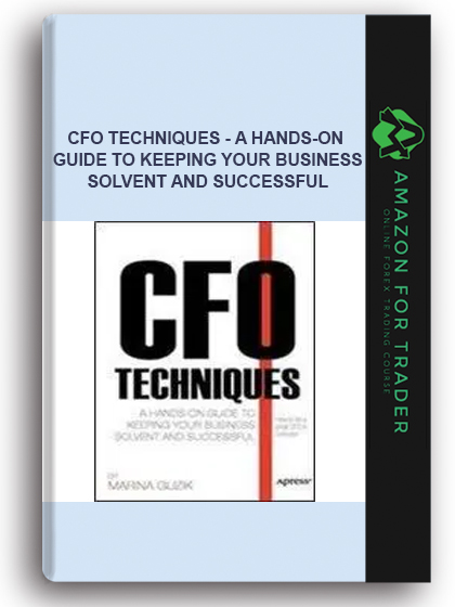 Cfo Techniques - A Hands-on Guide To Keeping Your Business Solvent And Successful