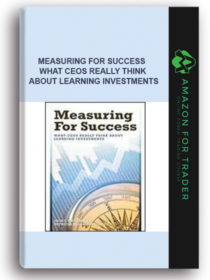 Measuring For Success - What Ceos Really Think About Learning Investments