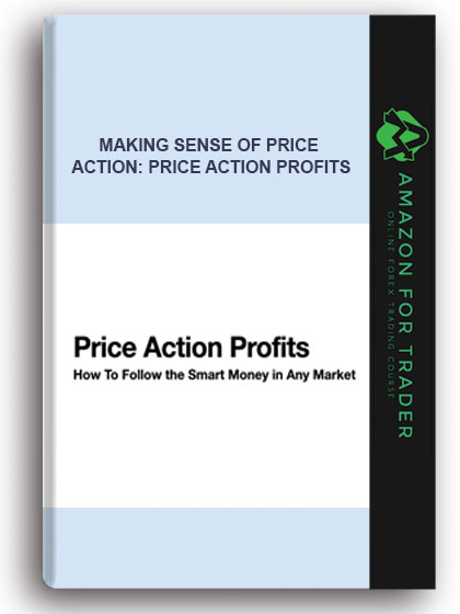 Infoproductlab - Making Sense of Price Action: Price Action Profits