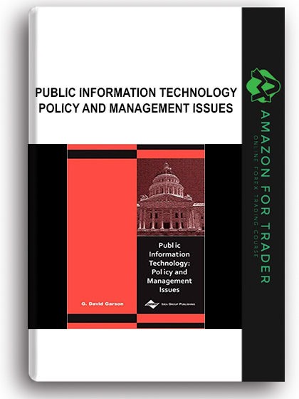 Public Information Technology - Policy and Management Issues