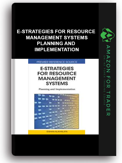 E-strategies For Resource Management Systems - Planning And Implementation