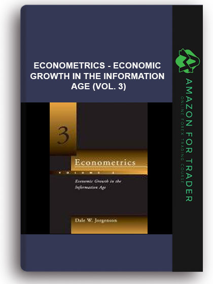 Econometrics - Economic Growth In The Information Age (Vol. 3)