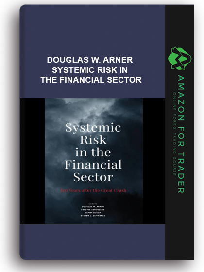 Douglas W. Arner - Systemic Risk in the Financial Sector