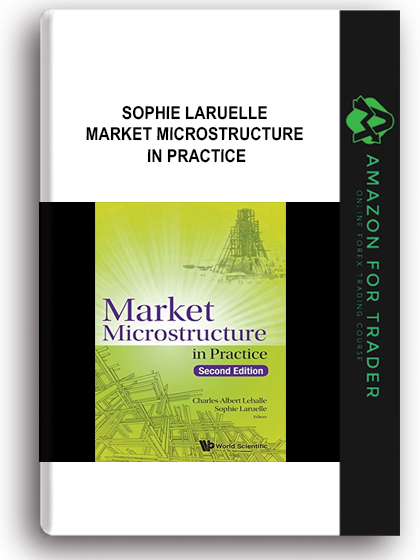 Sophie Laruelle - Market Microstructure in Practice