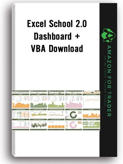 Excel School 2.0 - Dashboard + VBA Download